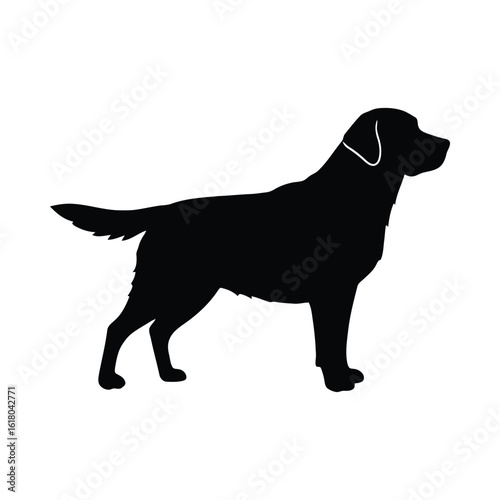 Black labrador dog silhouette animal
