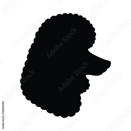 Black poodle silhouette head profile white