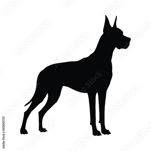 Black silhouette of a great dane dog standing