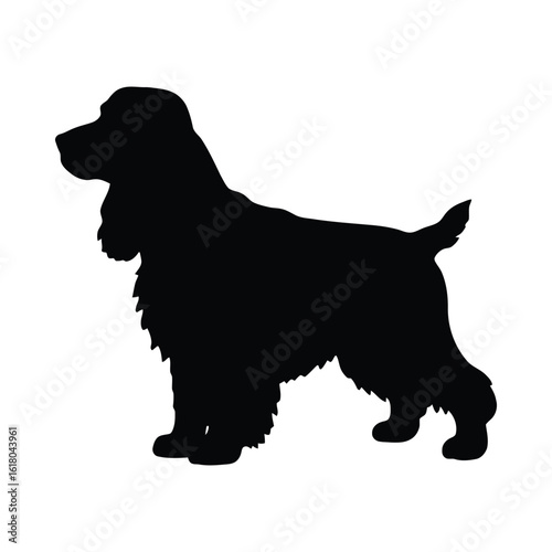 Black silhouette of a standing cocker spaniel animal white