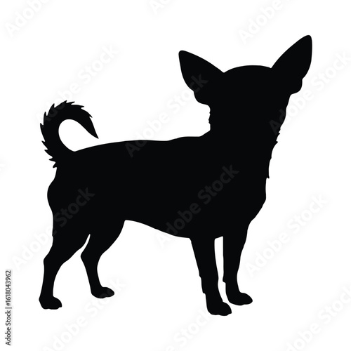 Black silhouette of a standing chihuahua dog white