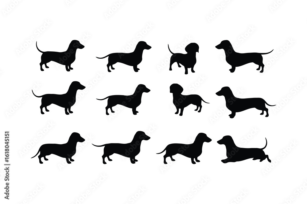 Naklejka premium Dachshund silhouettes in various poses black white