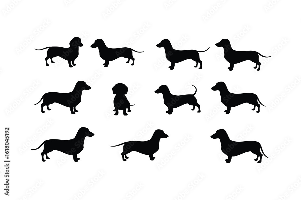 Naklejka premium Dachshund silhouettes various poses black white