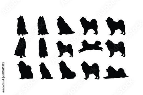 Fluffy dog silhouettes various poses animal canine