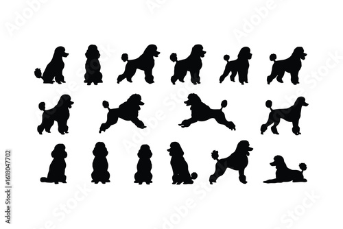 Poodle silhouettes various poses black white