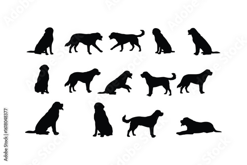 Saint Bernard dogs various poses silhouette black