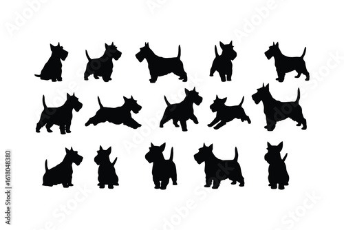 Scottish terrier dogs black silhouettes various poses