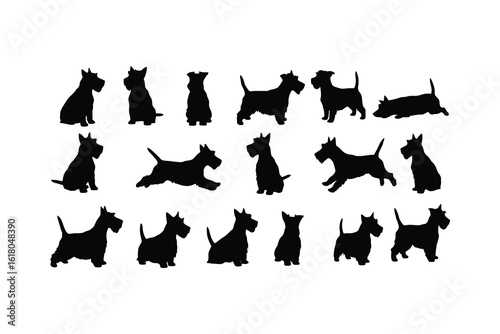 Scottish terrier dogs in various poses silhouette black