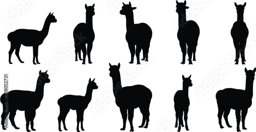 Alpaca silhouettes vector bundle, black shapes in standing poses, farm animal collection, perfect for crafts, design, wildlife themes.