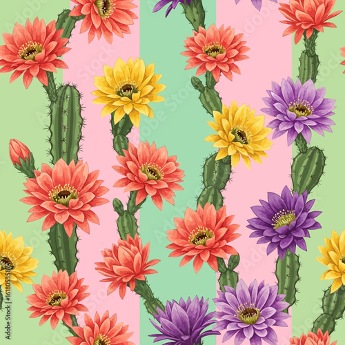 Colorful blooming cactus seamless pattern with vibrant exotic flowers. Floral illustration on a striped pastel background.