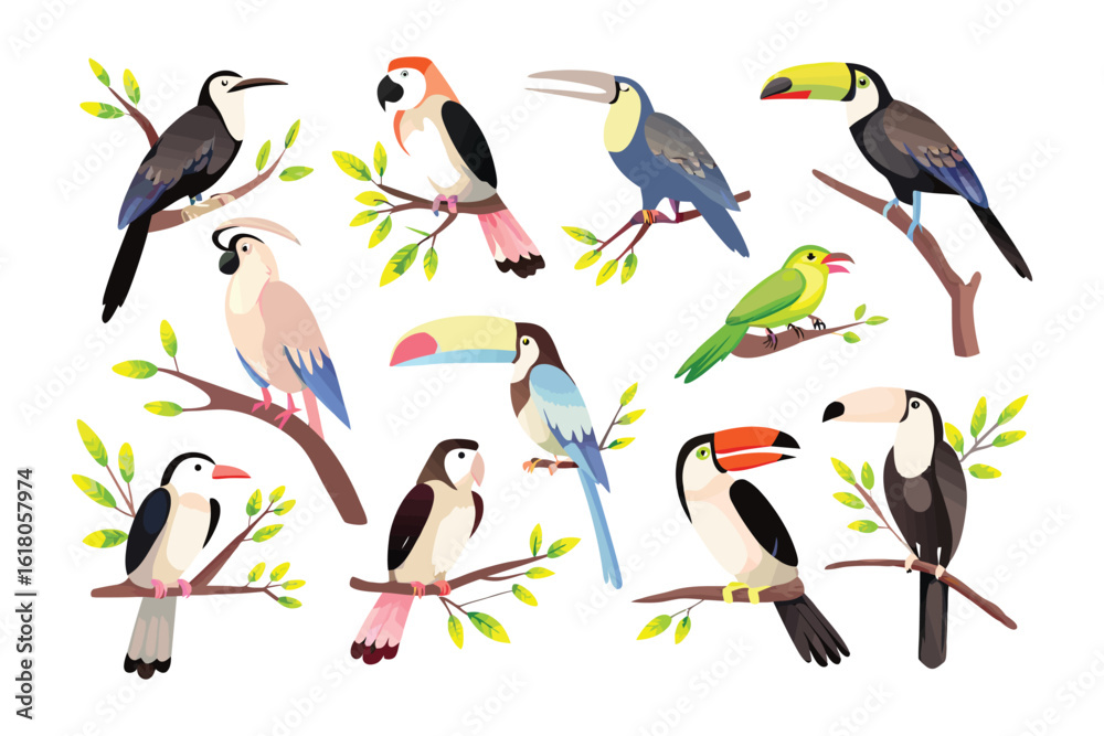 Naklejka premium Variety of Birds in their Habitat: Various birds sit on tree branches, demonstrating the beauty of birds. Each bird is in its habitat, showing the different of natural patterns.