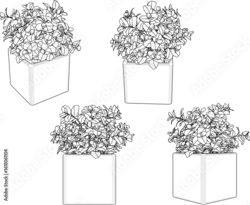 Vector design illustration of decorative ornaments of plants in pots to decorate the interior of a room