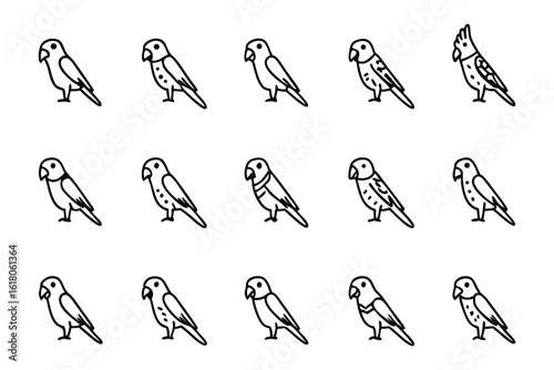 Feathered Friends: A collection of charming parrot illustrations, each showcasing unique features in elegant monochrome.