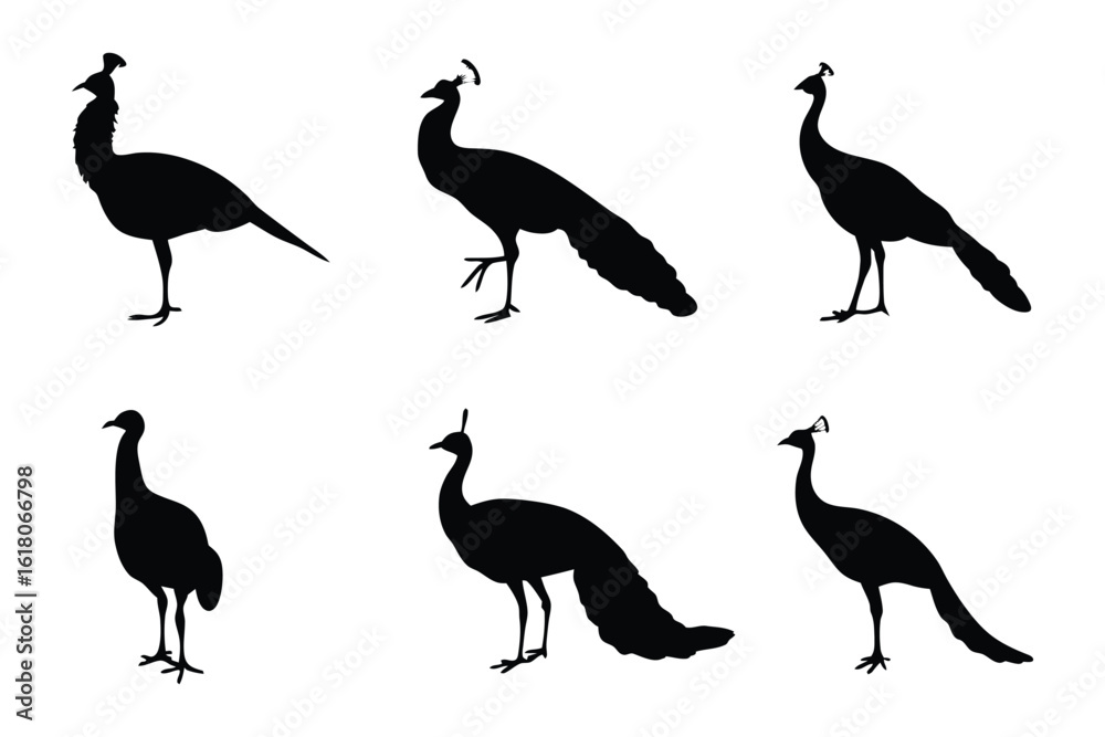 Fototapeta premium Elegant Peacock Silhouettes: An array of elegant peacock silhouettes in profile, evoking a sense of grace and poise in stark contrast.