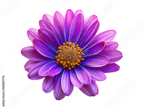 Neon daisy flower pattern violet plant