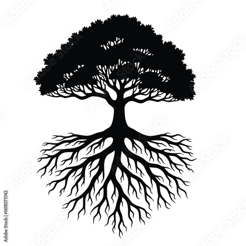 Black silhouette of a tree with extensive roots white
