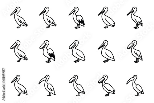 Pelican Lineup: A carefully curated arrangement of pelican illustrations showcasing various poses and angles, offering a versatile resource for design.