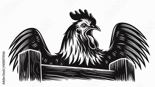 Detailed black and white illustration of a rooster crowing over a wooden fence with wings spread wide silhouette