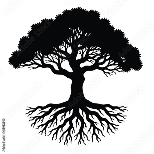 Majestic tree silhouette with sprawling roots and dense foliage black white