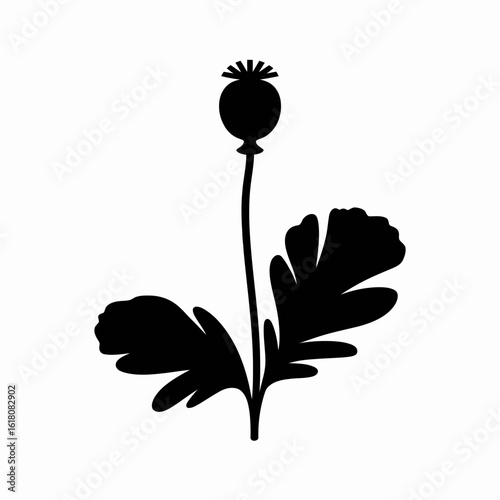 Silhouette of Poppy Flower with Leaves