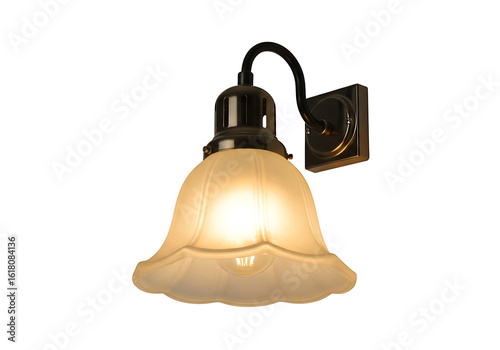 A wall-mounted light fixture with a frosted glass shade.