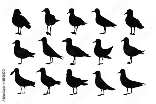 Seagulls in Silhouette: A series of stylized silhouettes showcase the elegant forms of seagulls, each captured in unique poses and angles, offering a compelling visual study of these iconic seabirds.
