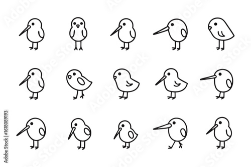 Kiwi Bird Illustration Set: A charming collection of kiwi bird illustrations showcases a playful and adorable rendition of the flightless creature in various poses.