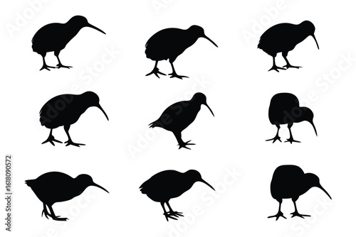 Kiwi Bird Silhouette Collection: A captivating collection of kiwi bird silhouettes, each capturing a unique pose of this iconic flightless bird, against a contrasting backdrop.