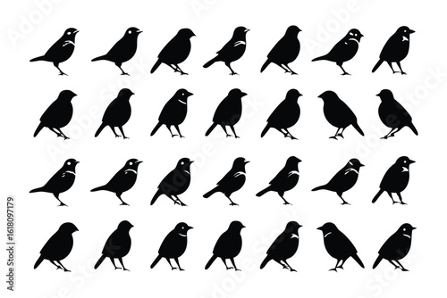 Silhouette Birds in rows: A mesmerizing symmetrical composition of black bird silhouettes, gracefully positioned in orderly rows. A celebration of nature's simple elegance.