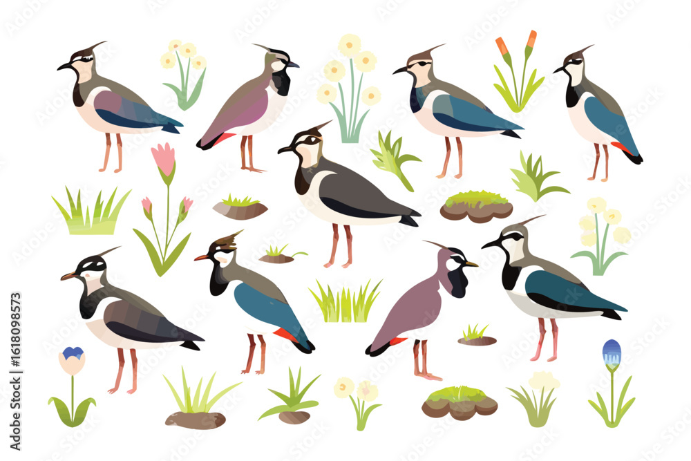 Fototapeta premium Lapwing Wildlife Illustration: A vibrant illustration showcases a collection of Lapwings, surrounded by stylized flora, presenting the bird and its habitat in a whimsical, artistic format.