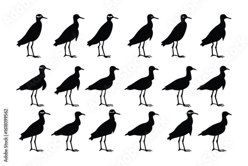 Silhouette of Elegant Bird Formation: Witness the captivating allure of a bird in silhouette, gracefully positioned amidst a coordinated arrangement. A spectacle of nature's elegance.
