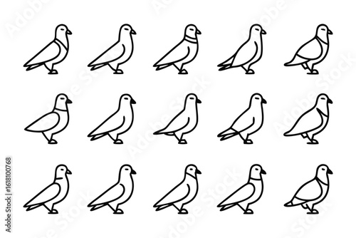 Pigeon Lineup: A neat arrangement of outlined pigeons in a clean and modern composition, ready to convey a sense of unity and peace.