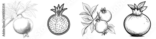 A contemporary illustration of tropical pomegranate fruit, featuring rounded shapes of ripe Garnet set against a white backdrop, within a horticultural context