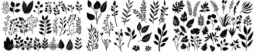 A assortment of modern plants and herbs, all rendered in a hand-drawn style