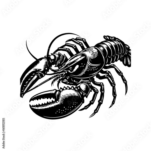 Detailed Black and White Illustration of a Clawed Lobster.