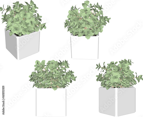 Vector design illustration of decorative ornaments of plants in pots to decorate the interior of a room