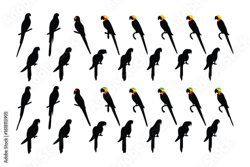 Wallpaper Mural Parrot Silhouette Art: An eye-level, black and white art illustration of a collection of silhouette parrot forms Torontodigital.ca