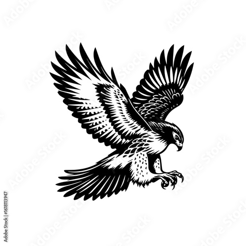Majestic Black and White Hawk in MidFlight with Detailed Feathers.