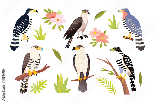Diverse Avian Assemblage: A vibrant collection of various bird species, artfully composed amidst floral and foliage elements, presented in a captivating illustration.