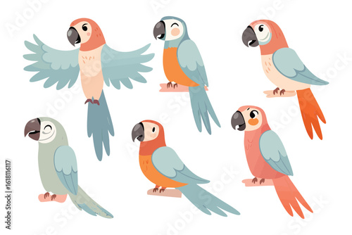 Vibrant Parrot Collection: A lively illustration showcasing six beautifully illustrated parrots, each with unique colorful feathers and expressions.