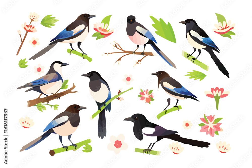 Fototapeta premium Magpies in Watercolor: A collection of vibrant watercolor illustrations showcasing the elegant magpie birds, perched on branches with delicate floral accents. 