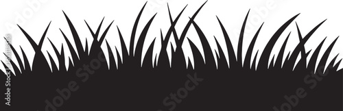 Black grass blades silhouette white