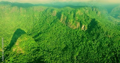Drone Footage of Twilight Descending on Jungle