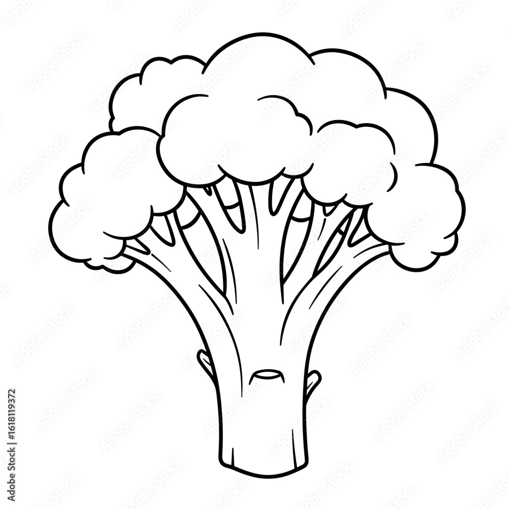 Black and white line drawing of a whole broccoli floret with thick stalk and bushy top, illustrated in a clean sketch style.
Black and white line drawing of a whole broccoli floret with thick stalk and bushy top, illustrated in a clean sketch style.