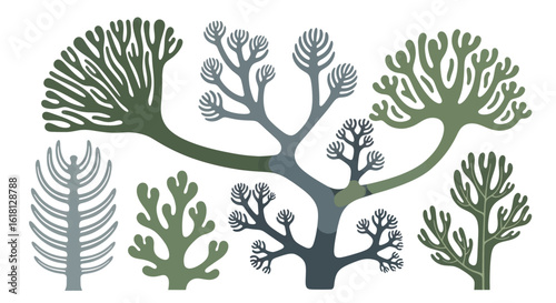 Abstract botanical illustration set featuring stylized trees, branching coral, and minimalist plant forms in a muted color palette