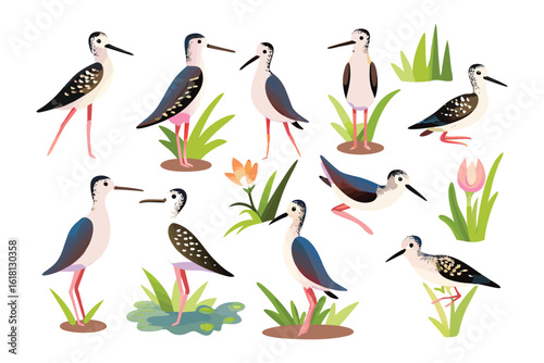 Elegant Stilts Birds Collection: A collection of elegant stilt birds, each with a distinct posture amidst lush greenery, painted in vibrant watercolor strokes