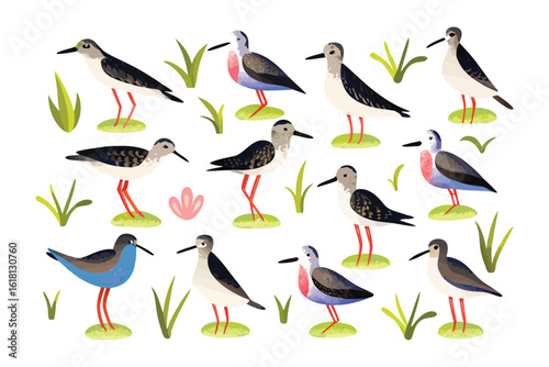 Whimsical Waders: A charming illustration of various wader species, showcasing their unique plumage and long legs in a playful, colorful design. 