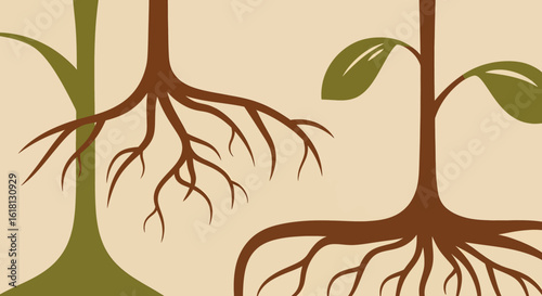 Abstract illustration showcasing the interconnectedness and growth of plant roots, symbolizing foundation and development