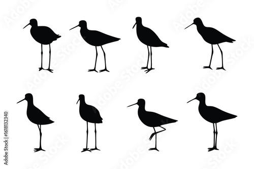 Shorebirds in Silhouette: A graphic depiction of eight elegant shorebirds in striking silhouette form, each captured in a unique pose, embodying the beauty and grace of these avian creatures. 