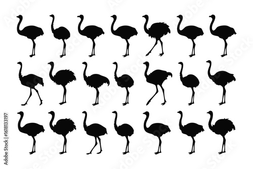 Ostrich Silhouette Array: A striking silhouette array of the world's largest flightless bird, the ostrich, captured in varied poses, exuding simplicity and style.